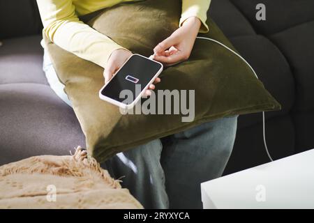 Donna mani ricarica della batteria del telefono cellulare con batteria scarica. Collegare un caricabatterie a uno smartphone con caricabatterie Power Bank Power Bank per batterie moderne Foto Stock