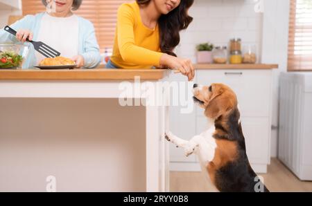 Cane Beagle con madre e figlia durante il fine settimana cucinano insieme nella cucina della casa. Foto Stock