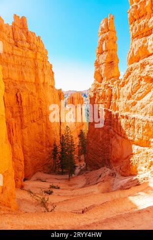 Percorso escursionistico al Queens Garden Trial al Bryce Canyon National Park nello Utah. Natura incredibile con bellissimi hoodoos, pinnacoli e.. Foto Stock