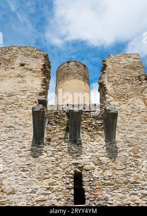 Resti della grande sala e del castello di Kollmitz, Waldviertel Foto Stock