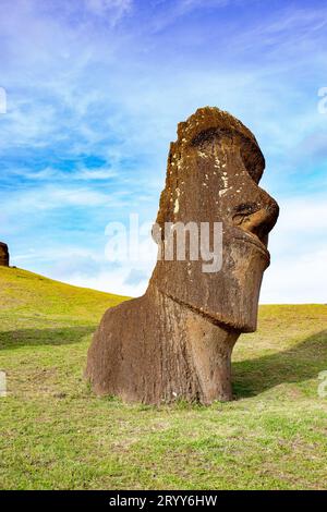 Moai su Ranu Raraku Volcan. Isola di estere di paesaggio Foto Stock