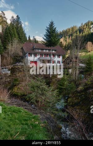 Cottage di montagna sulle Alpi. Vista panoramica dello splendido paesaggio montano nel Bad Rippoldsau-Schapbach nella Foresta Nera Foto Stock