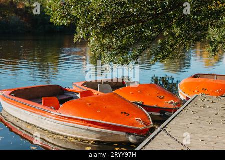 Diverse barche con remi sono ormeggiate al bordo dell'acqua al molo nel parco della città per passeggiate in acqua sul fiume, lago o stagno. Foto Stock
