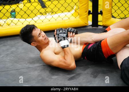 Mixed Martial Art, quando è la festa caduta, trova un modo per usare la gamba per legare il collo dell'avversario. farà l'avversario Foto Stock