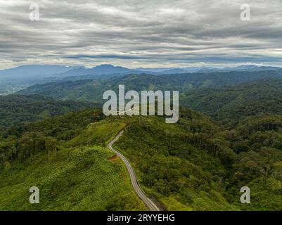 Vista aerea delle montagne e delle colline con la foresta verde e gli alberi ai tropici. Sumatra, Indonesia. Foto Stock
