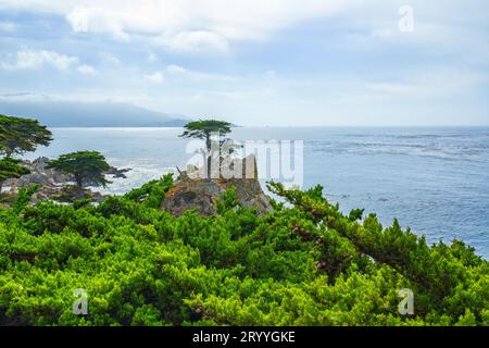 Monterey Bay, California, USA - 31 ottobre 2022. Il Lone Cypress è un albero iconico che si erge sulla sommità di un affioramento di granito a Pebble Beach, tra l'altro Foto Stock