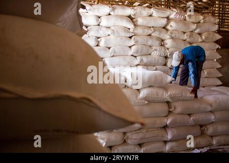 Sumedang, Giava Occidentale, Indonesia. 3 ottobre 2023. Un operaio asciuga farina di tapioca fatta di manioca in una casa di produzione a Sumedang, Giava Occidentale. Le vendite di farina di tapioca sono diminuite del 50% a causa di un calo della domanda del mercato. (Immagine di credito: © Algi February Sugita/ZUMA Press Wire) SOLO USO EDITORIALE! Non per USO commerciale! Foto Stock