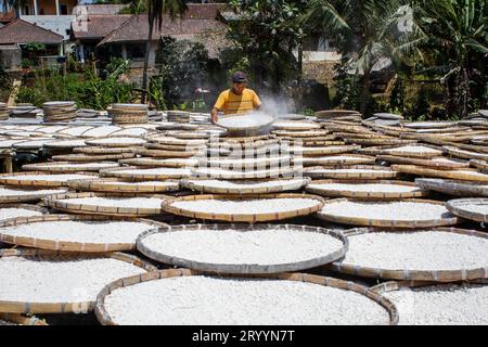 Sumedang, Giava Occidentale, Indonesia. 3 ottobre 2023. Un operaio asciuga farina di tapioca fatta di manioca in una casa di produzione a Sumedang, Giava Occidentale. Le vendite di farina di tapioca sono diminuite del 50% a causa di un calo della domanda del mercato. (Immagine di credito: © Algi February Sugita/ZUMA Press Wire) SOLO USO EDITORIALE! Non per USO commerciale! Foto Stock