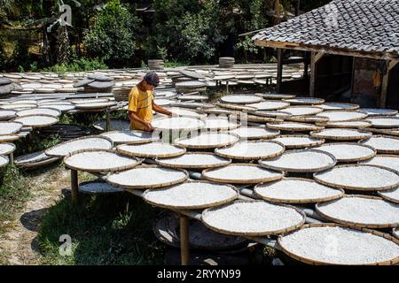 Sumedang, Giava Occidentale, Indonesia. 3 ottobre 2023. Un operaio asciuga farina di tapioca fatta di manioca in una casa di produzione a Sumedang, Giava Occidentale. Le vendite di farina di tapioca sono diminuite del 50% a causa di un calo della domanda del mercato. (Immagine di credito: © Algi February Sugita/ZUMA Press Wire) SOLO USO EDITORIALE! Non per USO commerciale! Foto Stock