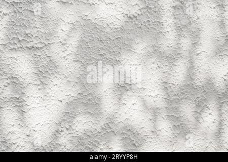 Texture parete in cemento bianco AbstractÂ con ombra silhouette motivo naturale abstract motivo decorativo con effetto sovrapposto a parete fissa Foto Stock
