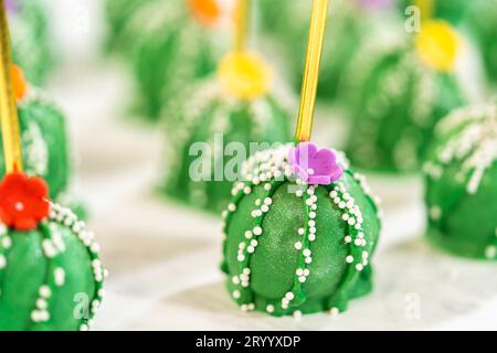 Deliziosi cactus per festeggiare il Cinco de Mayo Foto Stock