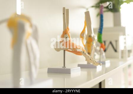 Attrezzature scientifiche in laboratorio. Modello di scheletro del piede. Tema dell'educazione STEM per i bambini. Foto Stock