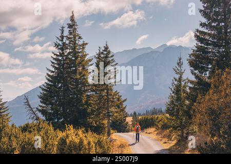 Escursionista solitario che cammina su una strada di montagna circondata da alberi di pino e si gode la natura selvaggia Foto Stock