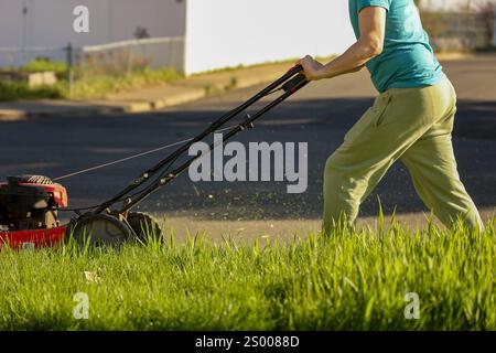 Uomo che spinge un tosaerba rosso, taglia erba alta in una giornata di sole Foto Stock