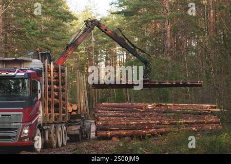 Un autocarro rosso per tronchi viene caricato con tronchi da una gru meccanica in una foresta. L'immagine mostra il carrello a sinistra, una pila di tronchi a destra, a. Foto Stock