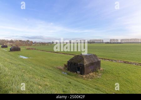 Culemborg, Paesi Bassi. Bunker olandesi di cemento nel prato costruito nel pascolo olandese. Fa parte della Nieuwe Hollandse Waterlinie. Foto Stock