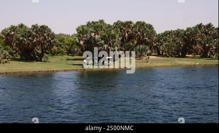 Crociera sul fiume Nilo, vista dalla dahabiah in Egitto Foto Stock