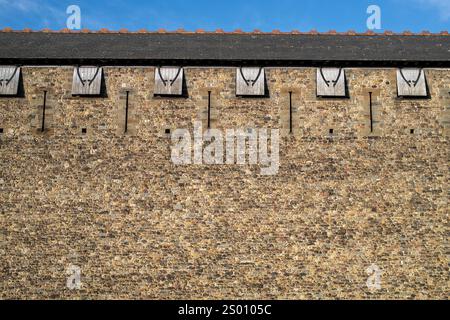 Mura esterne del castello di Cardiff nel Galles del Sud Foto Stock