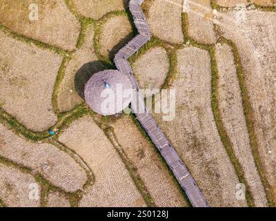 Vista aerea del ponte Kho Ku so Bamboo e dei campi di riso nel nord della Thailandia vicino a Pai Foto Stock