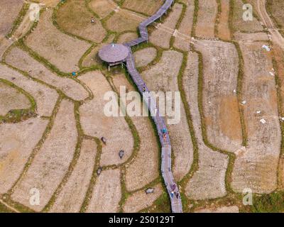 Vista aerea del ponte Kho Ku so Bamboo e dei campi di riso nel nord della Thailandia vicino a Pai Foto Stock