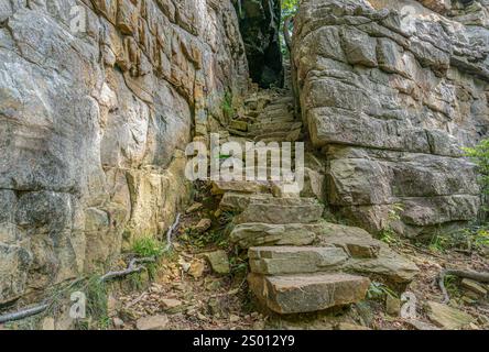 La Great Stone Door, una scalinata di roccia che attraversa una crepa in una scogliera che si affaccia sul golfo di Savage nel Tennessee, è un passaggio storico per la gola. Foto Stock