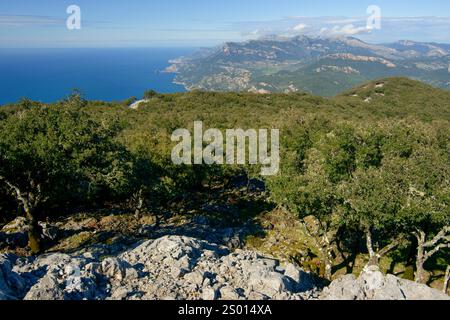 Sierra de Tramuntana da Mola de Planicia. Maiorca. Isole Baleari. Spagna. Foto Stock