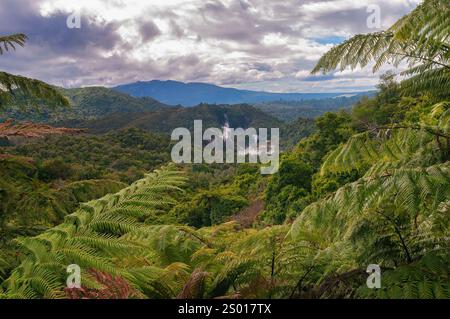 Rotarua Park, nuova Zelanda Foto Stock