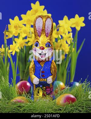 Coniglietto pasquale al cioccolato, uova di Pasqua colorate, narcisi selvatiche, in piedi in un prato, Pasqua, coniglietto pasquale al cioccolato, bassa Sassonia, Feder Foto Stock