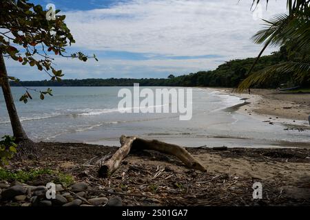 Cahuita, Costa Rica - 16 novembre 2024 - Parco Nazionale di Cahuita - spiaggia, foresta e colorata vita marina Foto Stock