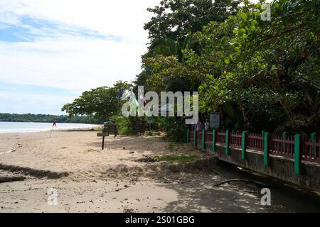 Cahuita, Costa Rica - 16 novembre 2024 - Parco Nazionale di Cahuita - spiaggia, foresta e colorata vita marina Foto Stock