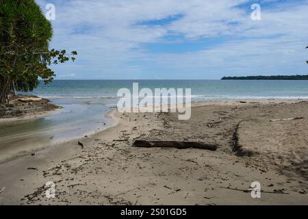 Cahuita, Costa Rica - 16 novembre 2024 - Parco Nazionale di Cahuita - spiaggia, foresta e colorata vita marina Foto Stock