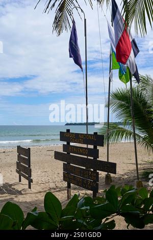 Cahuita, Costa Rica - 16 novembre 2024 - Parco Nazionale di Cahuita - spiaggia, foresta e colorata vita marina Foto Stock