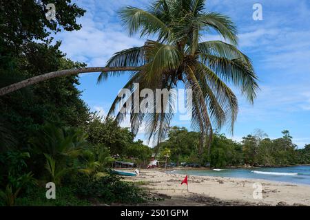 Cahuita, Costa Rica - 16 novembre 2024 - Parco Nazionale di Cahuita - spiaggia, foresta e colorata vita marina Foto Stock