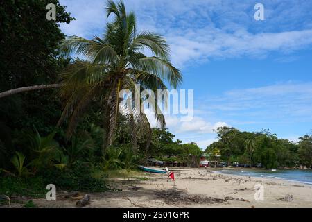 Cahuita, Costa Rica - 16 novembre 2024 - Parco Nazionale di Cahuita - spiaggia, foresta e colorata vita marina Foto Stock