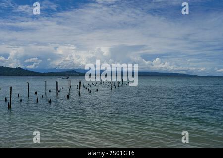 Cahuita, Costa Rica - 16 novembre 2024 - Parco Nazionale di Cahuita - spiaggia, foresta e colorata vita marina Foto Stock