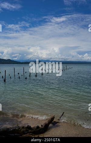 Cahuita, Costa Rica - 16 novembre 2024 - Parco Nazionale di Cahuita - spiaggia, foresta e colorata vita marina Foto Stock