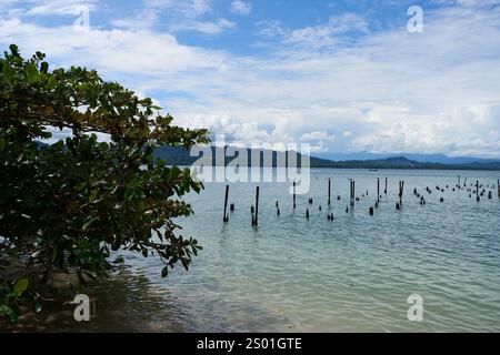 Cahuita, Costa Rica - 16 novembre 2024 - Parco Nazionale di Cahuita - spiaggia, foresta e colorata vita marina Foto Stock