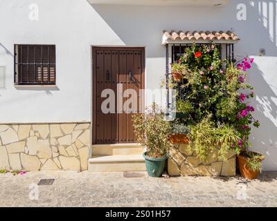 Fiori e piante nella facciata anteriore di un'affascinante vecchia casa in Andalusia, Spagna Foto Stock
