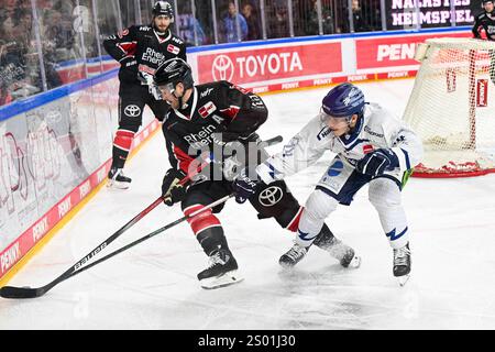 Eishockey DEL - 24/25 - 29. Spieltag: Kölner Haie vs Straubing Tigers am 22.12.2024 im in der LANXESS arena in Köln Straubings Travis St. Denis (Nr.74) gegen Kölns Joshua Currie (Nr.18) foto: Osnapix Foto Stock