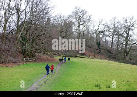 Vista posteriore persone che camminano sul sentiero che sale per la collina per visitare il castello di Dinefwr in inverno vicino al parco dei cervi Carmarthenshire Galles Regno Unito KATHY DEWITT Foto Stock