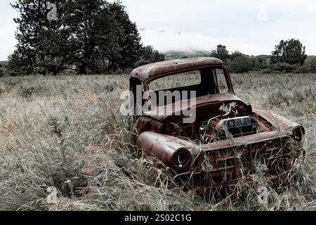 Un vecchio camion arrugginito decade in un campo a Kodiak, Alaska Foto Stock