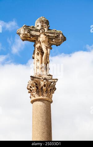 Un alto crocifisso si erge in cima a una colonna, con intricate incisioni, adagiato contro un cielo nuvoloso a Salamanca. Foto Stock