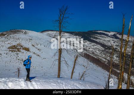 Percorso di montagna che porta alla cima del monte Skrzyczne, salita invernale nei Beskids della Slesia Foto Stock