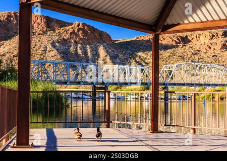 Due anatre sono sedute su un ponte sopra un fiume. Il ponte è lungo e attraversa l'acqua. Le anatre sembrano godersi la vista e la tranquillità Foto Stock