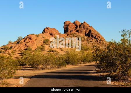 Una strada attraversa un deserto con una grande formazione rocciosa sullo sfondo. Il cielo è limpido e il sole splende Foto Stock