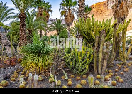 Un paesaggio desertico con una varietà di cactus e palme. La scena è tranquilla e serena, con il sole che splende sulle piante Foto Stock