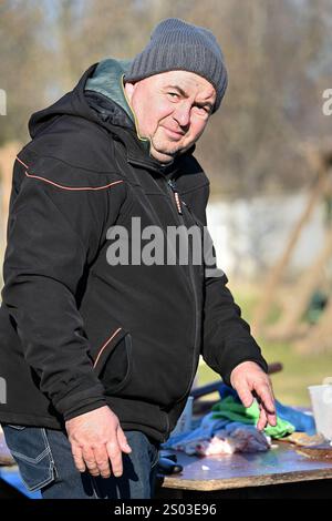 Ohrady, Dunajská Streda, Slovacchia - novembre 30 2024: Macellazione di maiali della comunità tradizionale dei villaggi (zabíjačka), Foto Stock