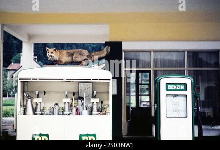 Animale di volpe imbottito sulla pompa carburante BP presso la stazione di servizio, Landeck, Tirolo, Austria, Europa 1960 Foto Stock