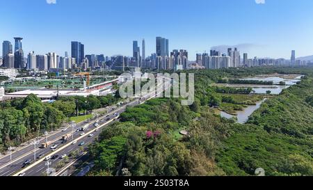 (241224) -- GUANGZHOU, 24 dicembre 2024 (Xinhua) -- una foto aerea di un drone mostra una vista di una zona umida di mangrovie a Futian di Shenzhen, nella provincia del Guangdong della Cina meridionale, 29 novembre 2024. Coprendo un'area di 56.000 chilometri quadrati, che è inferiore al 0,6% della superficie totale del paese, la Greater Bay area del Guangdong-Hong Kong-Macao ha generato una produzione economica superiore a 14 trilioni di yuan nel 2023, circa un nono del totale nazionale. È una delle aree più aperte ed economicamente dinamiche della Cina ed è anche una delle regioni con la più alta qualità di sviluppo economico. (Xinhua/li Foto Stock