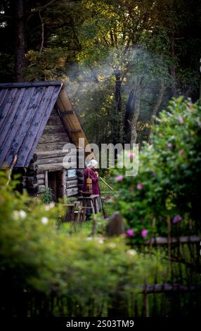 Una tranquilla scena rurale caratterizzata da una cabina in legno circondata dal verde. Una persona con un abbigliamento tradizionale sta su una scala, tendendo alla cabina. Su morbido Foto Stock